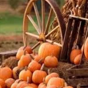 Meet your Posher, Todd